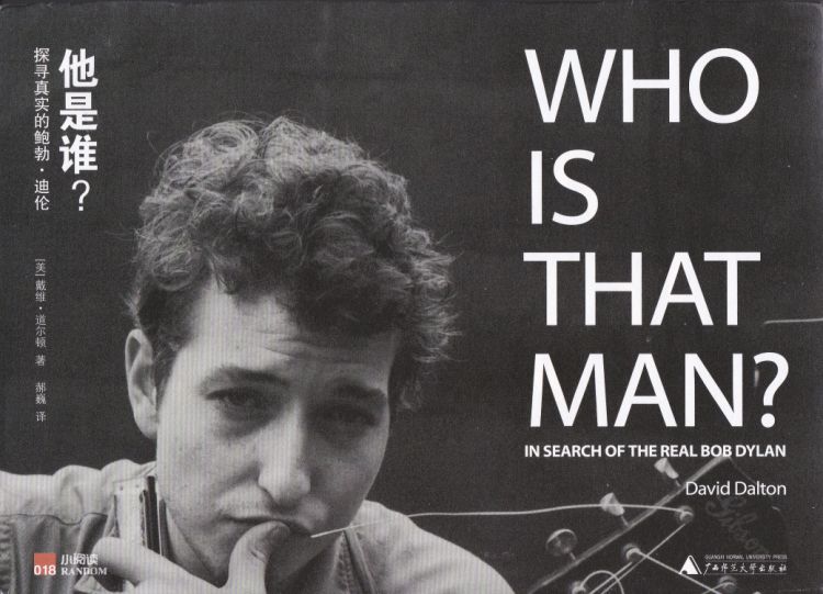 who is that man Dylan book in Chinese