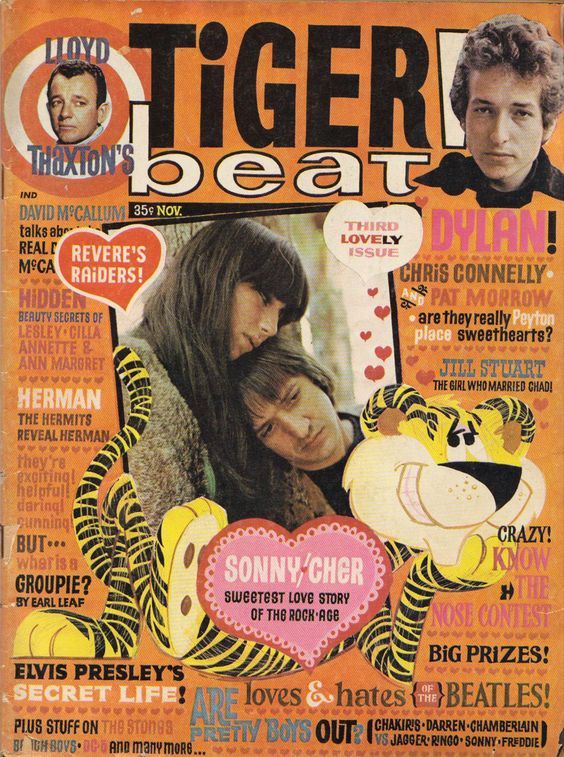 tiger bear usa magazine Bob Dylan front cover